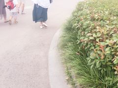 -徐州乐园加勒比水世界