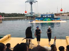 -秦皇岛乐岛海洋王国