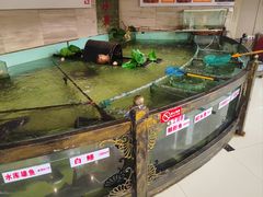 -楚鱼王·河鲜·湖北菜(华农店)