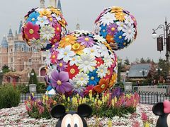 -上海迪士尼度假区