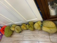 -华润·凯旋名邸
