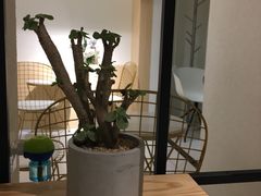 -大C柠檬茶室(天河南二路店)