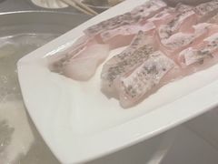 -张凯达·深海石斑鱼潮汕火锅(十五年品牌•虹桥天街店)