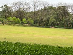 -东莞植物园