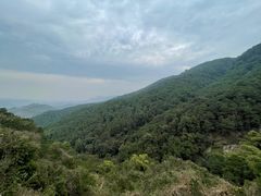 -铁山坪森林公园