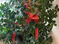 -二分八云雁阁•新晋菜大同味(长治路店)