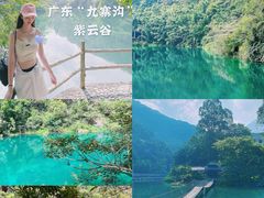 -鼎香皇高佬苏裹蒸粽