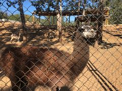 -大连森林动物园