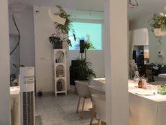 -春树下·树屋花房西餐厅(罍街AS1980店)