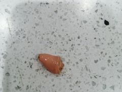 -自然之声助听器·呼吸机(贵定店)