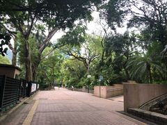 -九龙公园