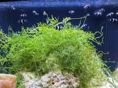 -沈阳海洋探索中心