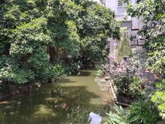 -小洲村