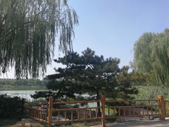-燕郊植物园