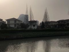 -嘉定紫藤园