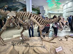 -自贡恐龙博物馆