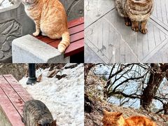 -终南山南五台景区