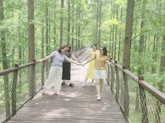 -黄海国家森林公园