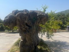 -宝岩生态观光园