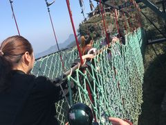 -梦幻奥陶纪景区