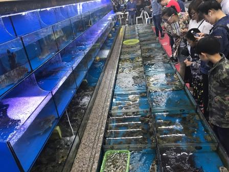 海岛渔府海鲜排档(朱家尖店)