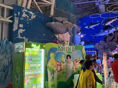 -烟台海昌鲸鲨海洋公园