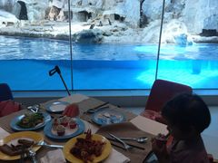 -帝企鹅自助餐厅•儿童岛•真企鹅(长隆企鹅酒店)