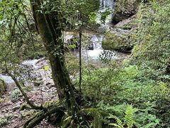 -龙苍沟森林公园