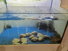 -质烤烤物·活烤海鲜(质烤总店)