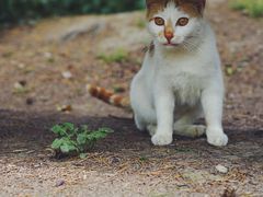 -苏州河梦清园环保主题公园