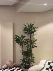 -KONSISTANT科思坦汀问题肌·科技美肤