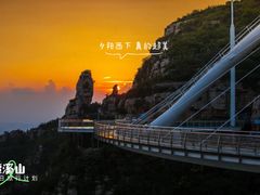 -鲁山国家森林公园