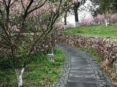 -太湖湖滨国家湿地公园-停车场