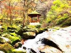 -少华山国家森林公园