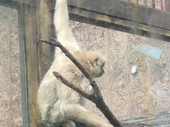 -昆明动物园