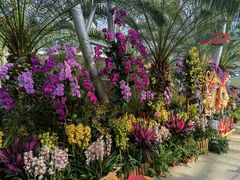 -北京植物园-展览温室