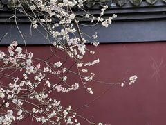 -钱王祠