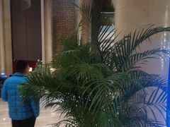 -北京歌华开元大酒店
