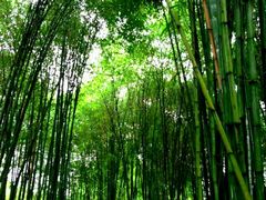 休息区-金沙遗址博物馆
