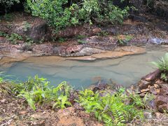 -广州白江湖森林公园