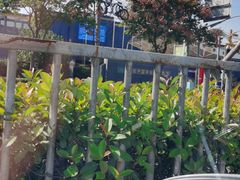 -上海农产品中心批发市场-停车场