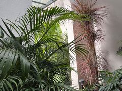 -漫笙舍Manse·咖啡·民宿