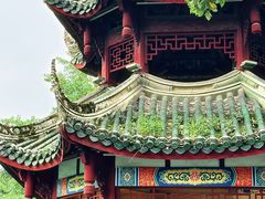 -房湖公园