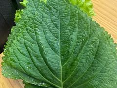 生菜-小黑猪石板烤肉(美食街店)