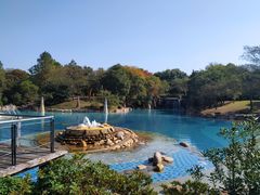 -上海月湖雕塑公园