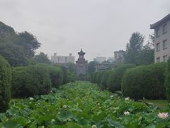 -四川大学(华西校区)