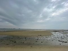 -北海金海湾红树林生态旅游区