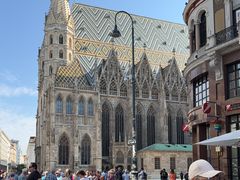 -斯蒂芬主教座堂(Stephansdom)