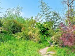 -广富林郊野公园