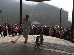 -云台山风景名胜区